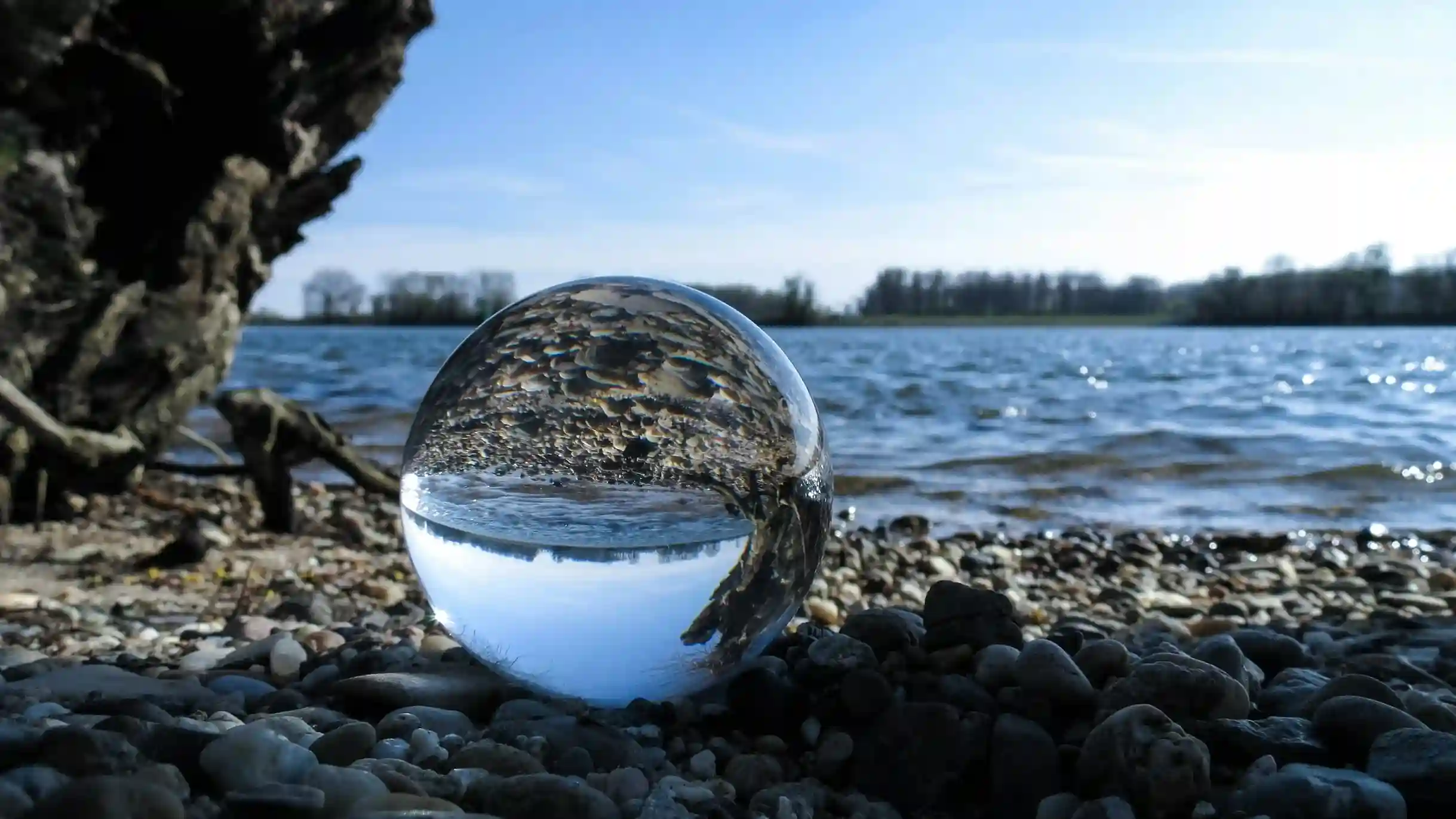 Transparency